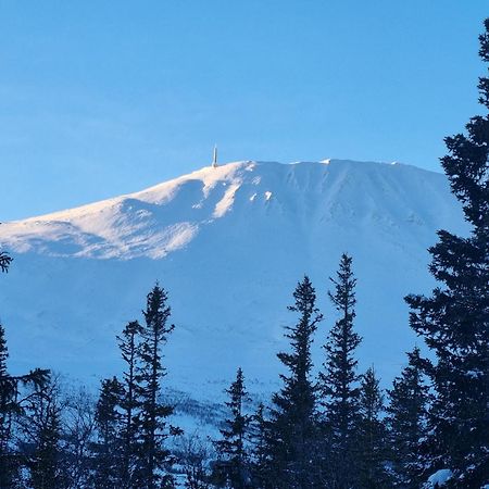 Ny Leilighet Med Flott Utsikt Til Gaustatoppen Rjukan Exterior photo