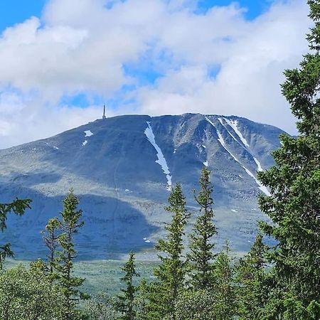 Ny Leilighet Med Flott Utsikt Til Gaustatoppen Rjukan Exterior photo