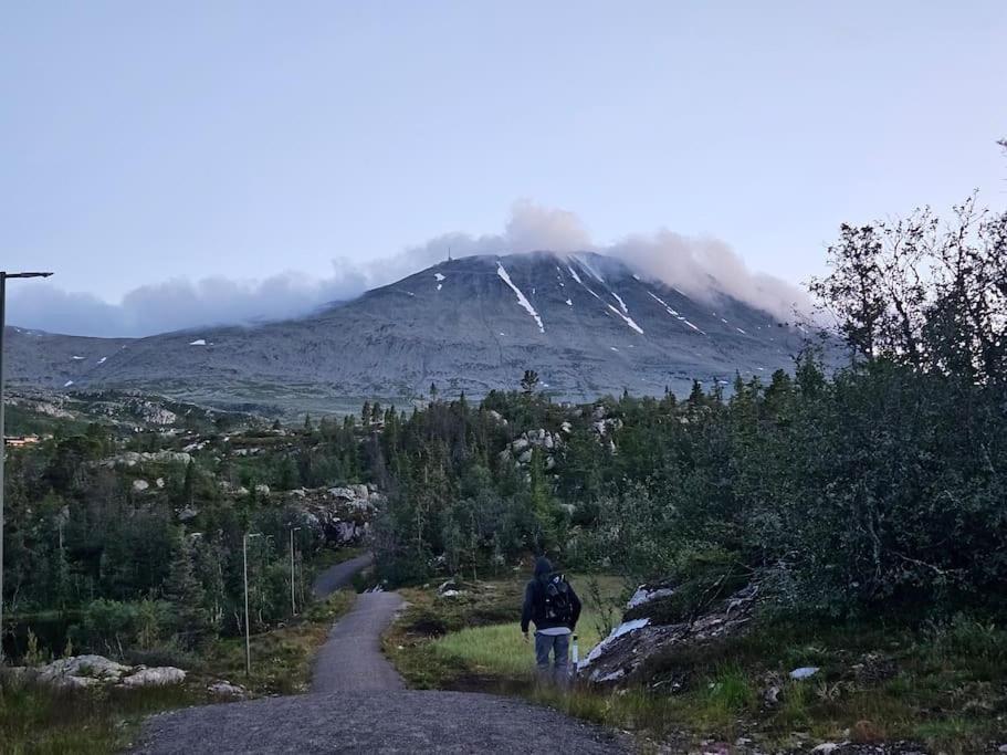 Ny Leilighet Med Flott Utsikt Til Gaustatoppen Rjukan Exterior photo